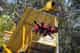 Flying Fox
