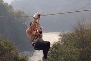 activities/zip-lining/zip-line-06.jpg