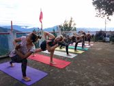 yoga-schools/jeevmoksha-institute-of-yoga/jeevmoksha-institute-of-yoga-04.jpg